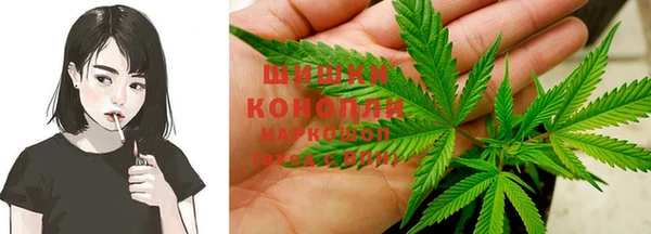 сатива Надым