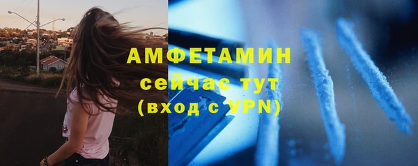 сатива Надым