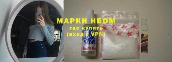 индика Наволоки