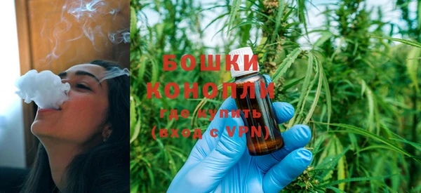 индика Наволоки