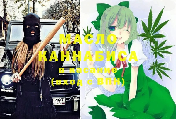индика Наволоки