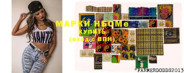 индика Наволоки