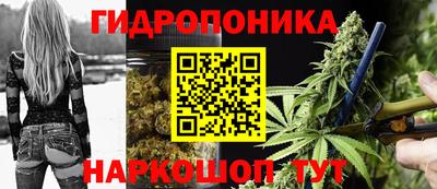 прущие грибы Канаш