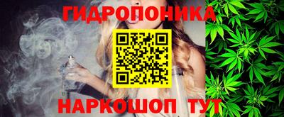 прущие грибы Канаш