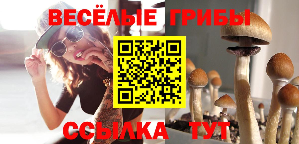 Тихвин  Галлюциногенные грибы ЛСД  Вход с VPN 